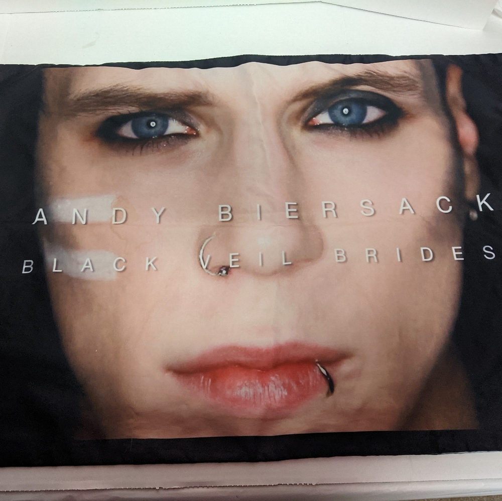 Andy Biersack Black veil brides pillowcase